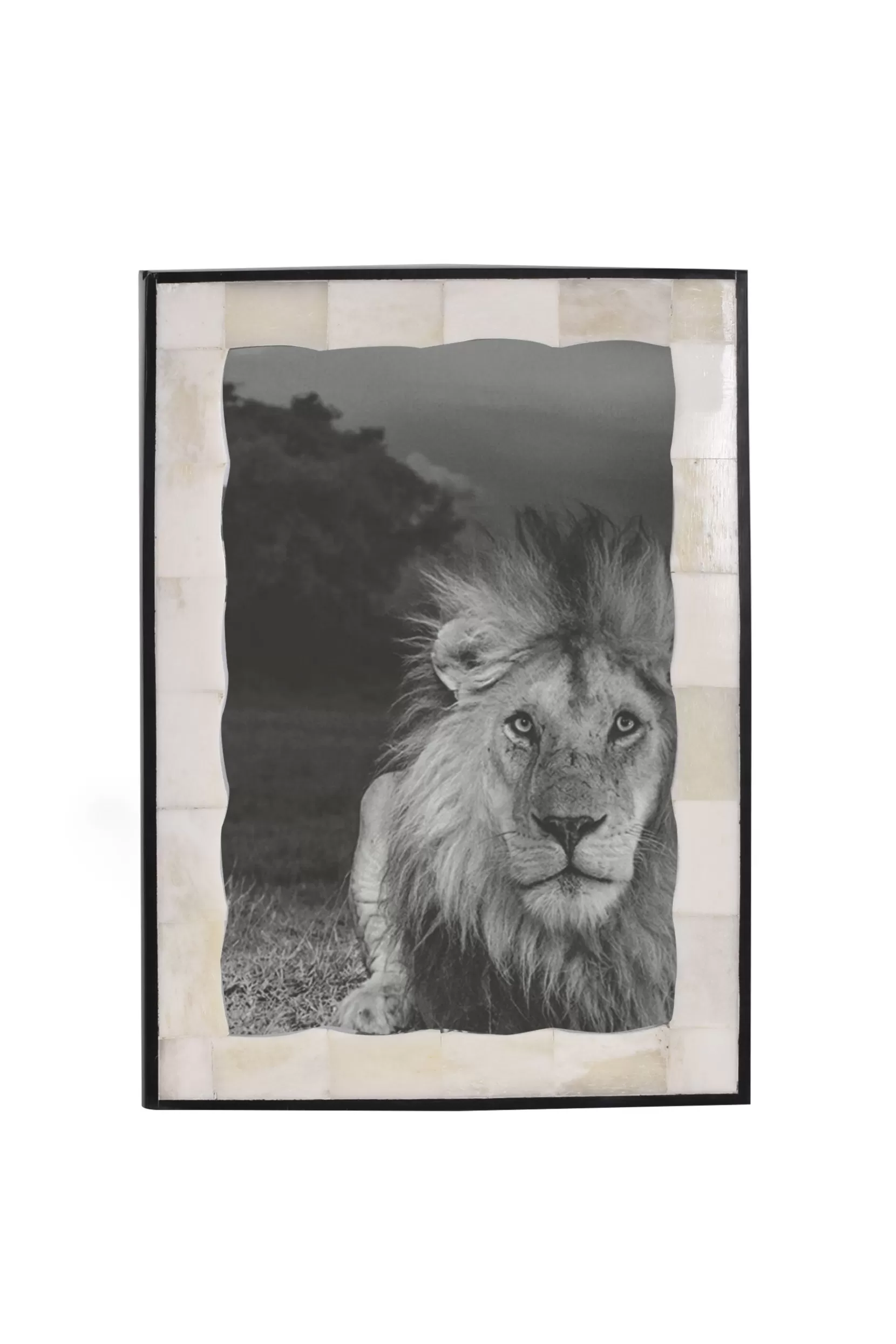 Sale FRAME - Frames