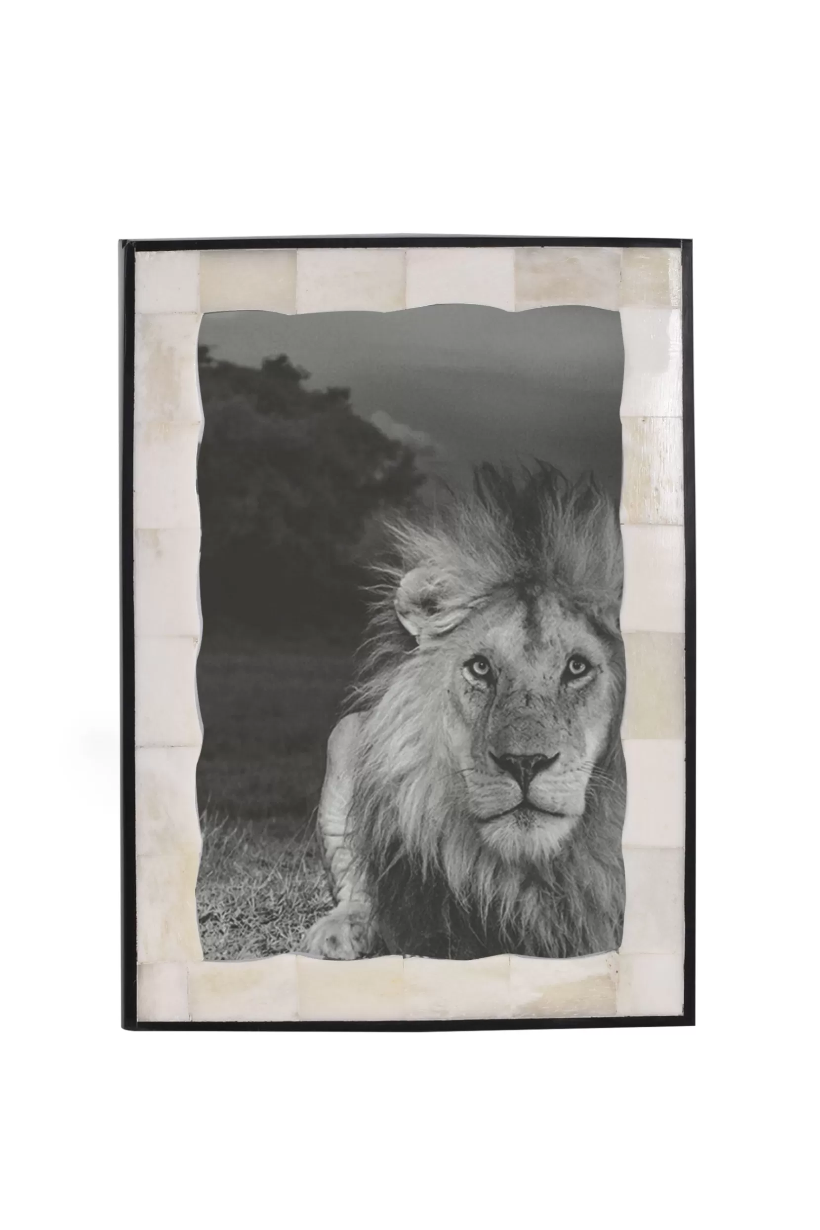 Sale FRAME - Frames