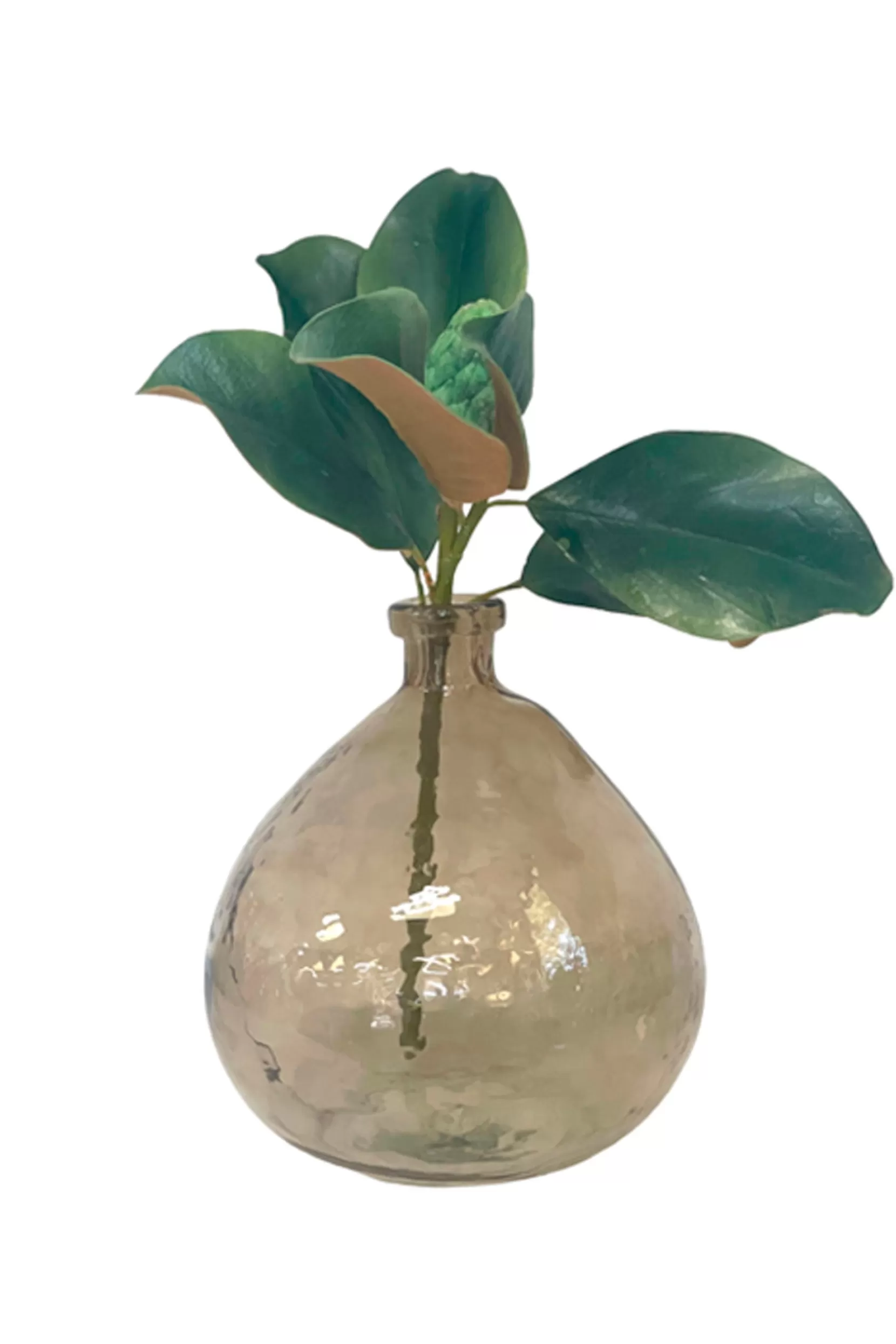 Shop Glass Vase - Brown Tortoise Vases & Planters