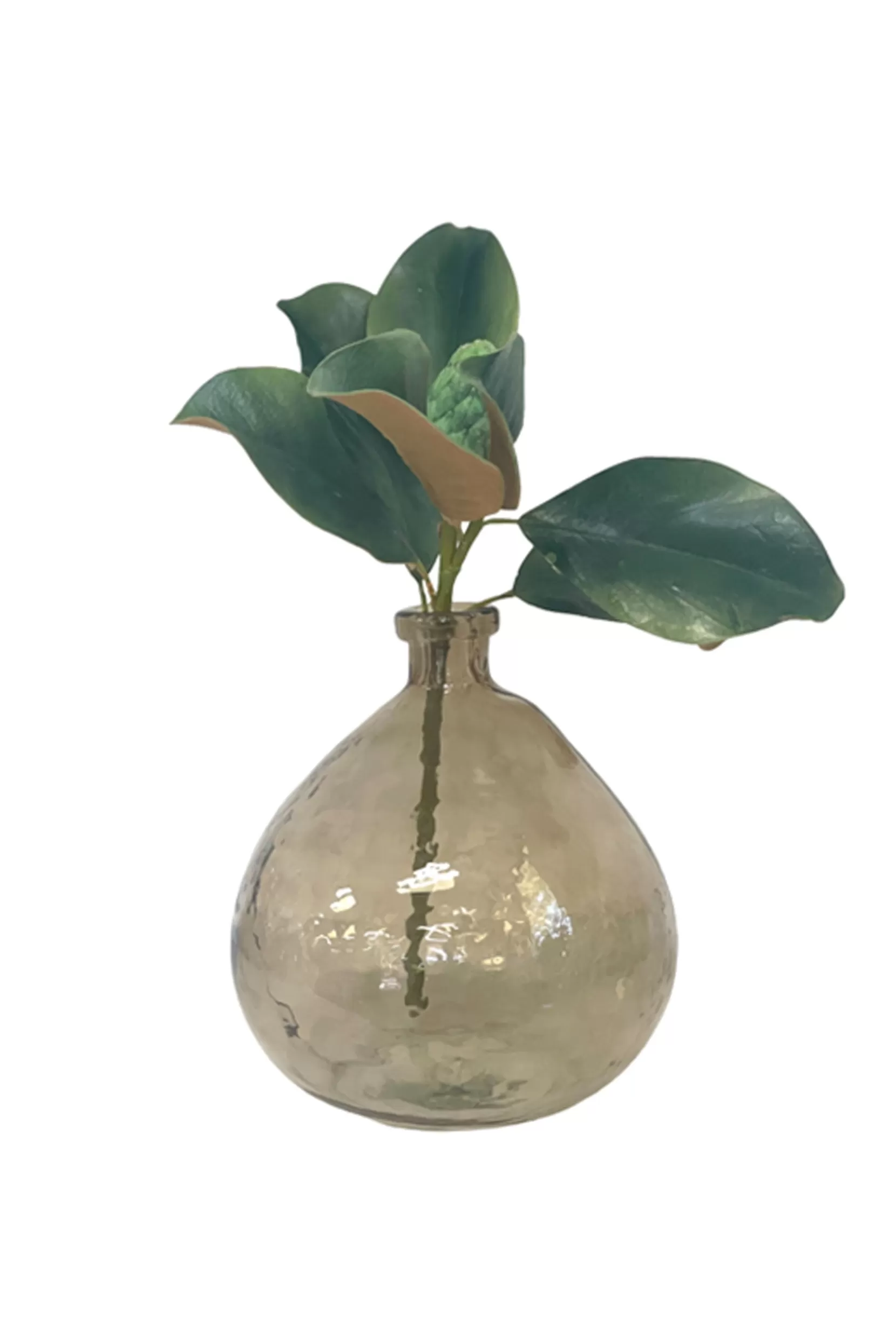 Flash Sale Glass Vase - Brown Tortoise Vases & Planters