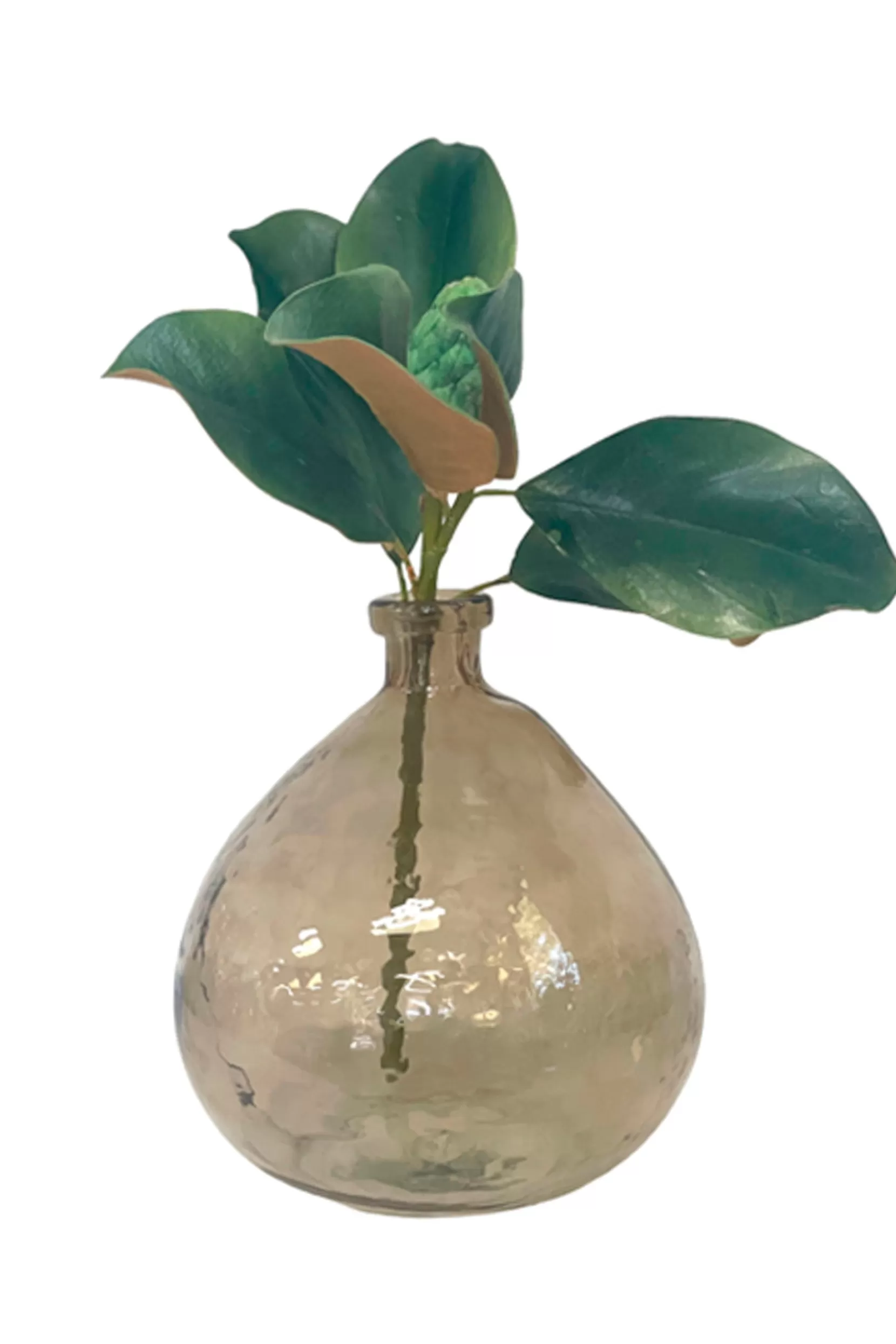 Shop Glass Vase - Brown Tortoise Vases & Planters
