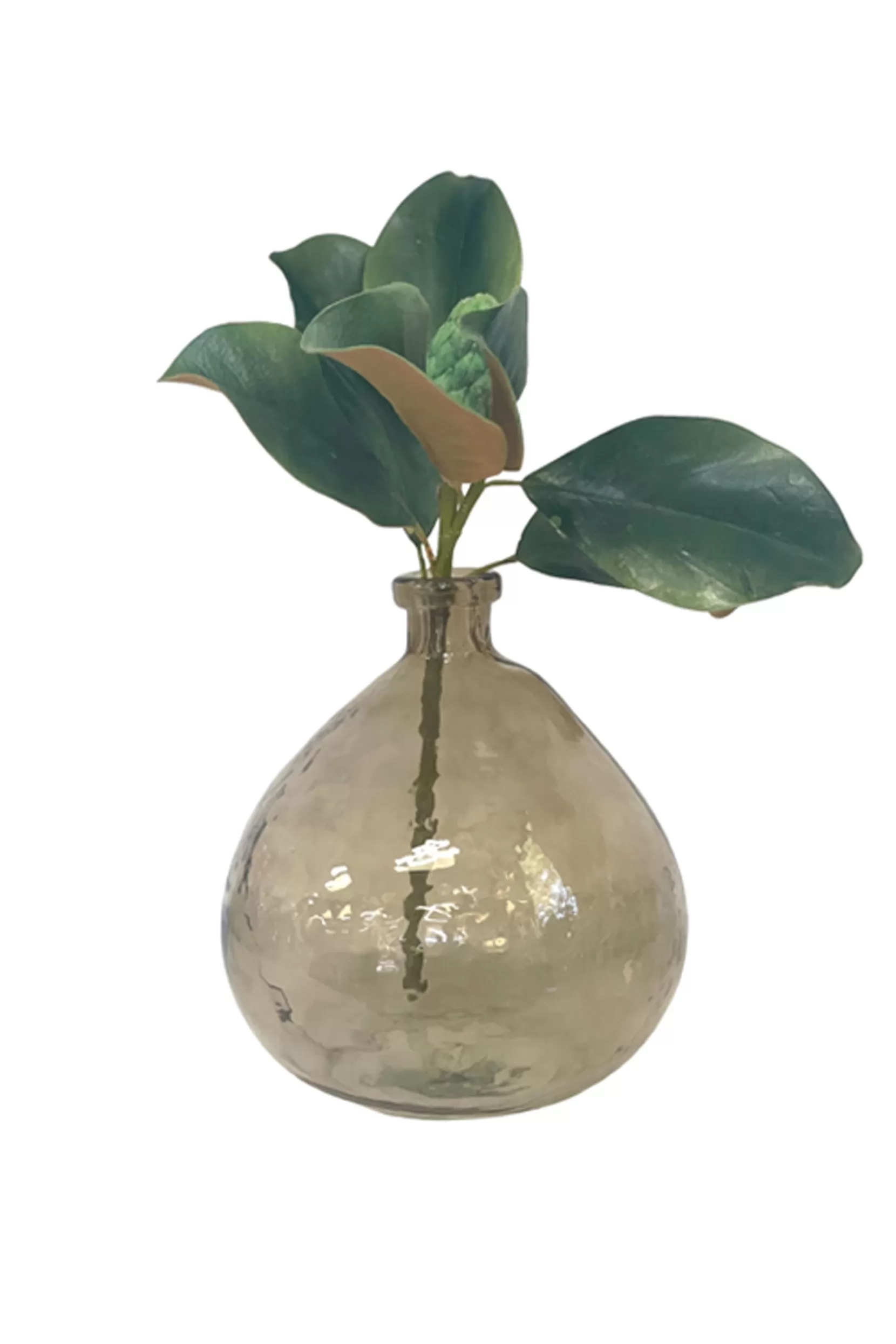 Flash Sale Glass Vase - Brown Tortoise Vases & Planters