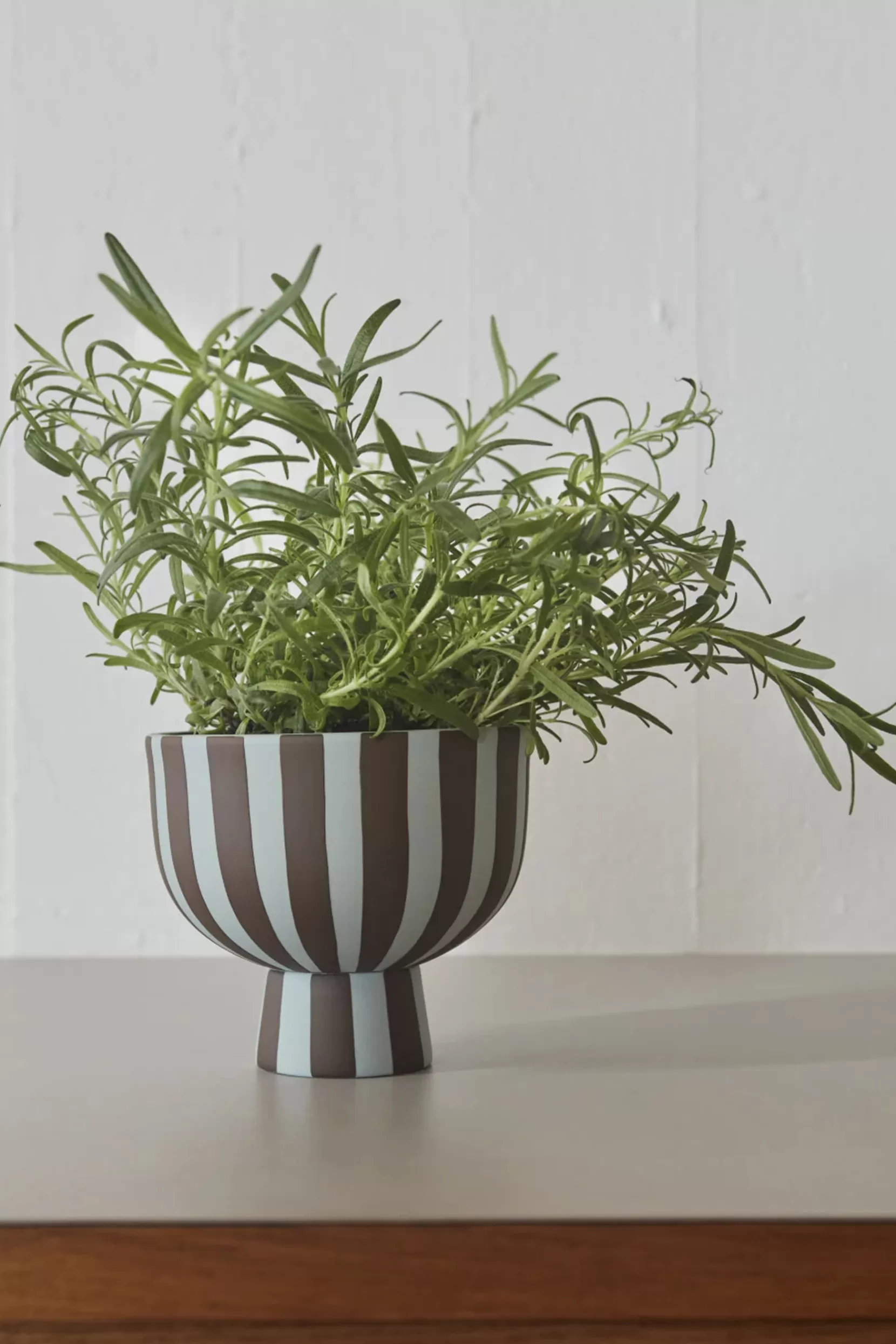 Fashion Toppu Bowl - White Black Tableware & Trays
